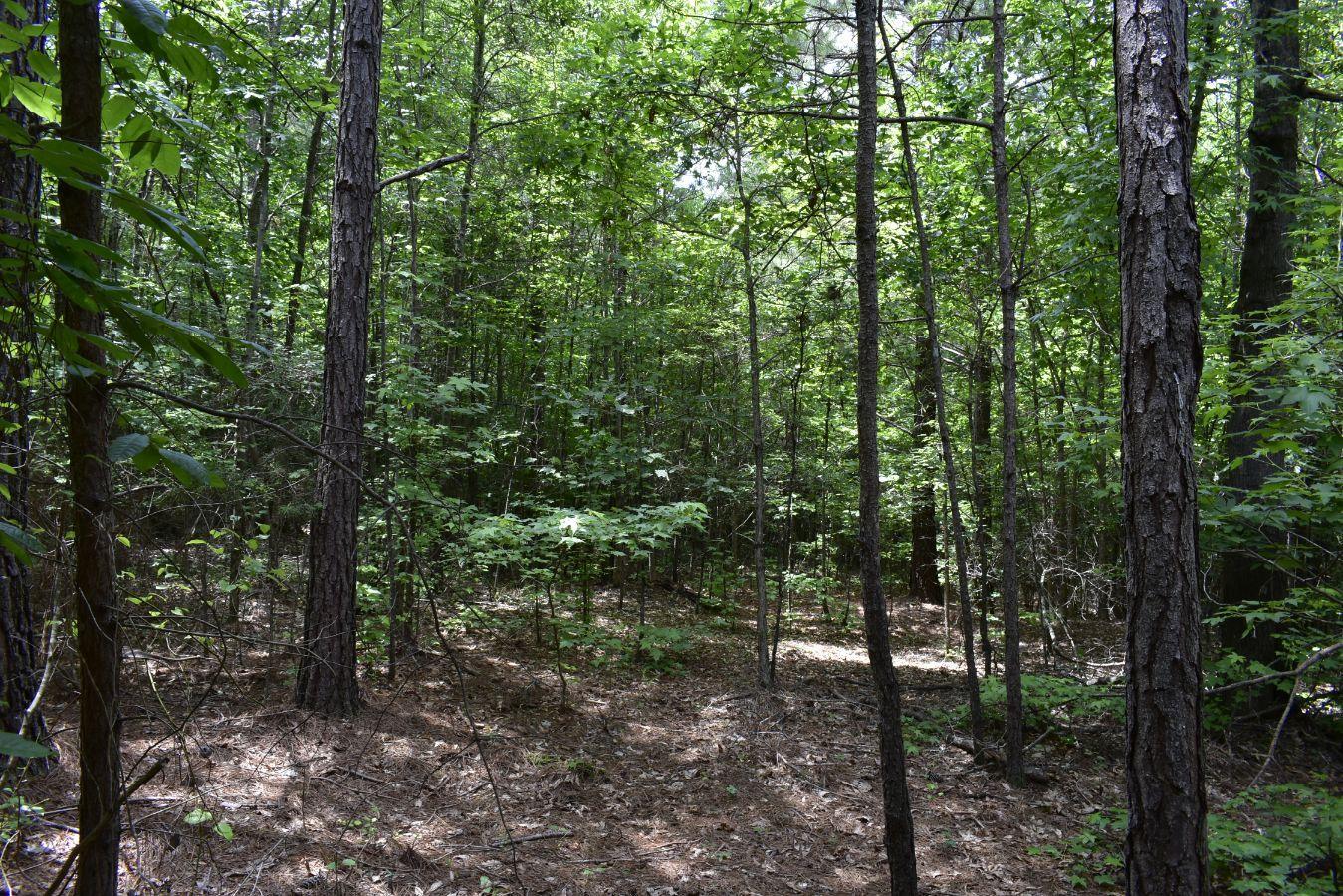 307 Lavista Road Jefferson, GA 30549 - Photo 8 of 83 _DSC0100