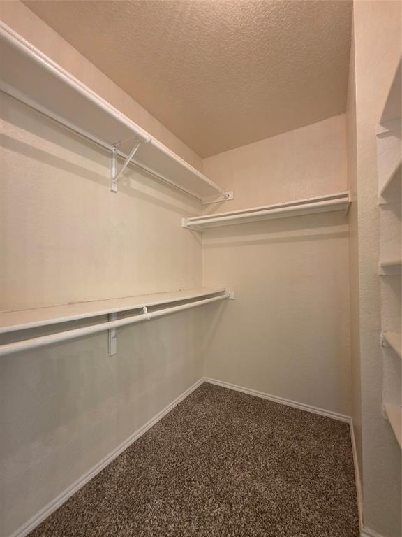 5413 Redwater Court The Colony, TX 75056 - Photo 34 of 40 a view of an empty walk in closet