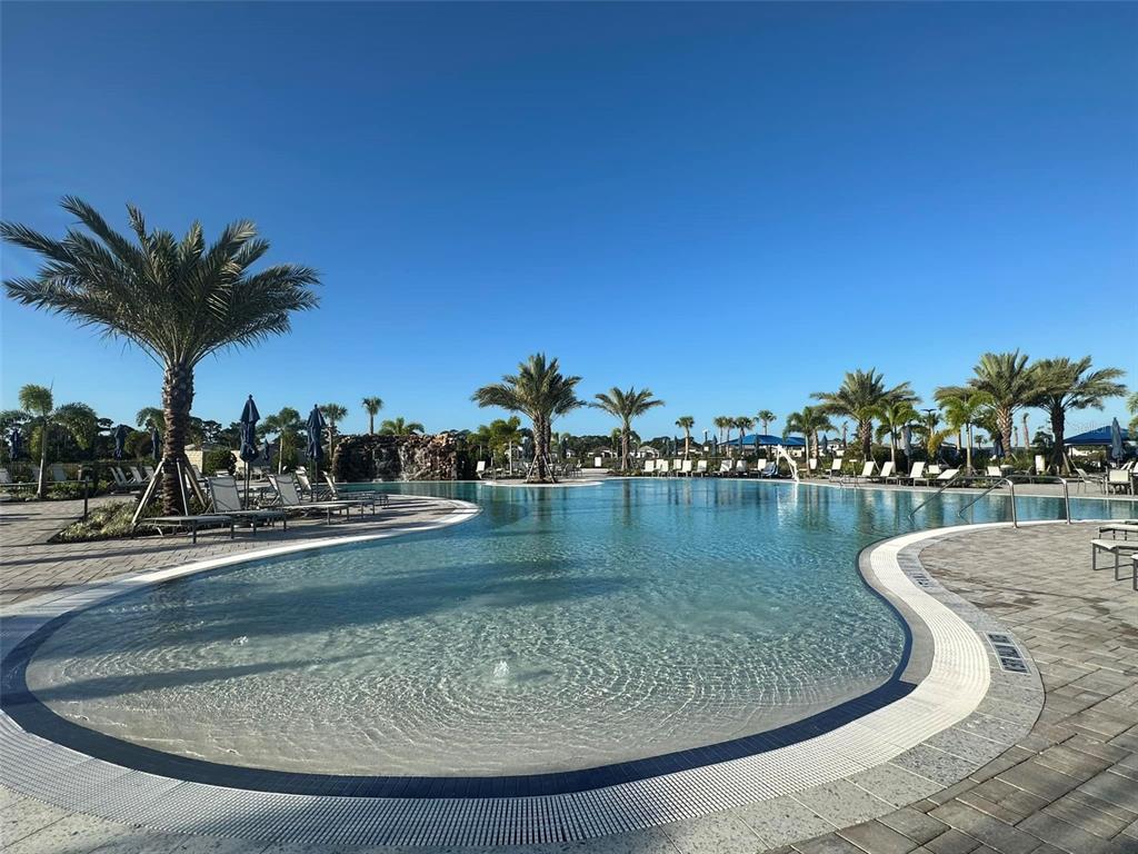 14560 Eagle Branch Drive Nokomis, FL 34275 - Photo 61 of 65 a view of a swimming pool with a yard