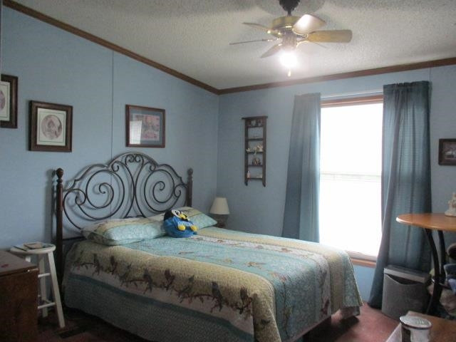 53 Mulloy Lane Butler, KY 41006 - Photo 41 of 47 Gallery Image 41
