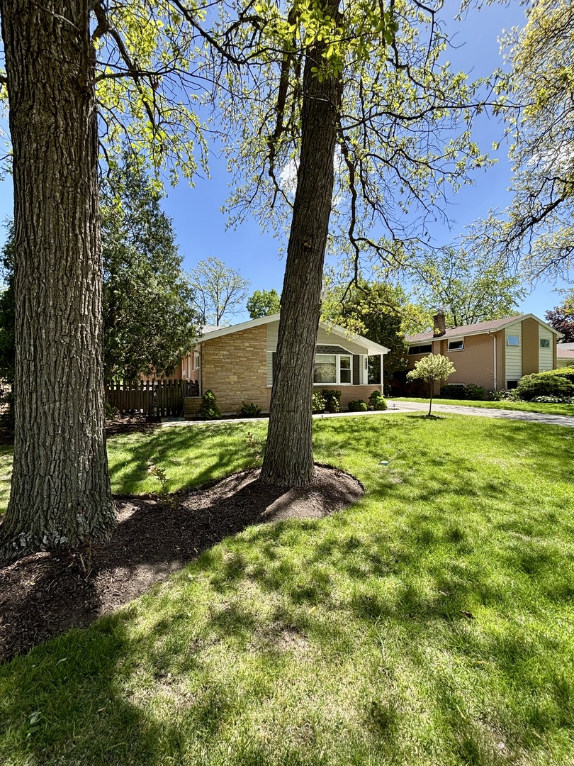 1237 Heatherfield Lane Glenview, IL 60025 - Photo 28 of 33 a view of a yard with plants and a large tree