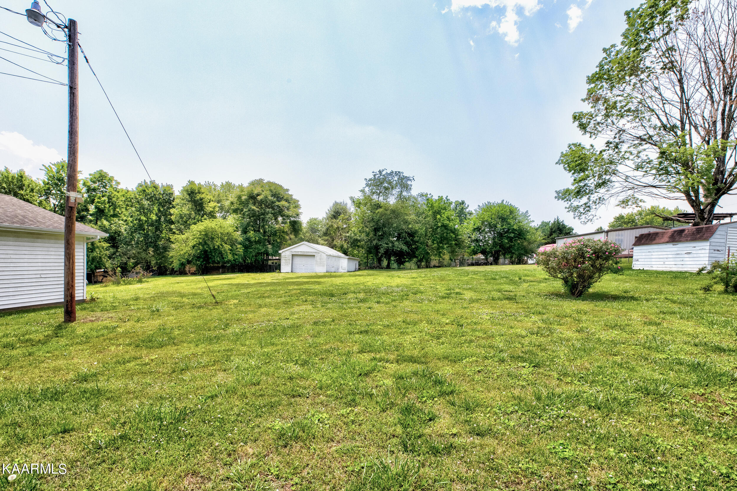 155 Butter And Egg Road Jacksboro, TN 37757 - Photo 42 of 49 155 Butter and Egg-6