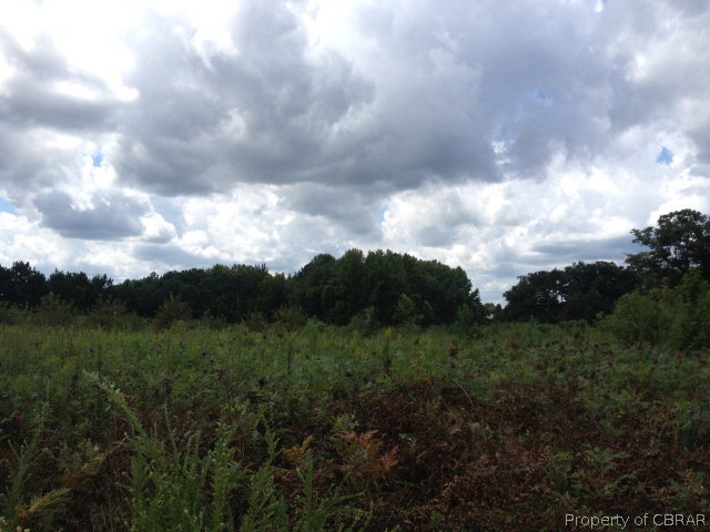 Lot 29 Crab Thicket Road Gloucester, VA 23061 - Photo 1 of 1