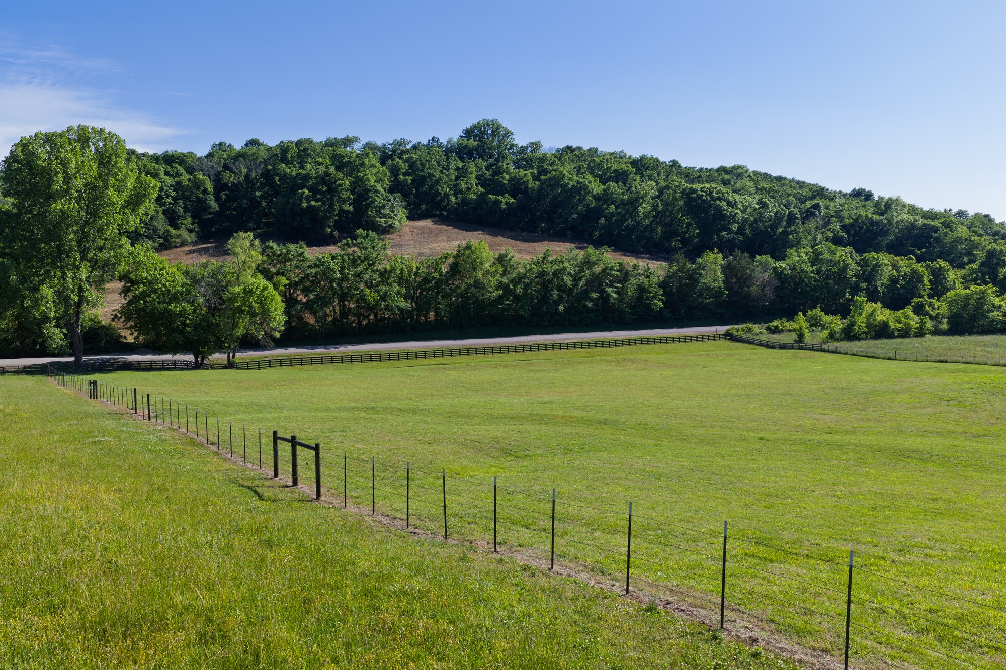 0 Morel Road Columbia, TN 38401 - Photo 3 of 21 Gallery Image 3