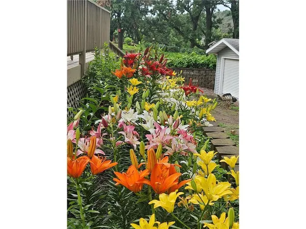 $749,900 | 56381 400th Avenue, Zumbro Falls, MN 55991