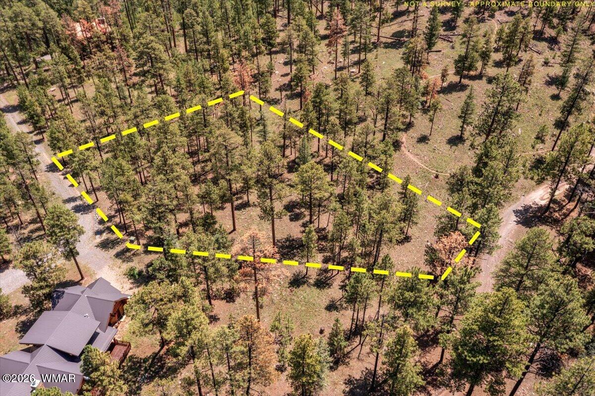 14 County Rd N1062 Greer, AZ 85927 - Photo 11 of 15 Gallery Image 11