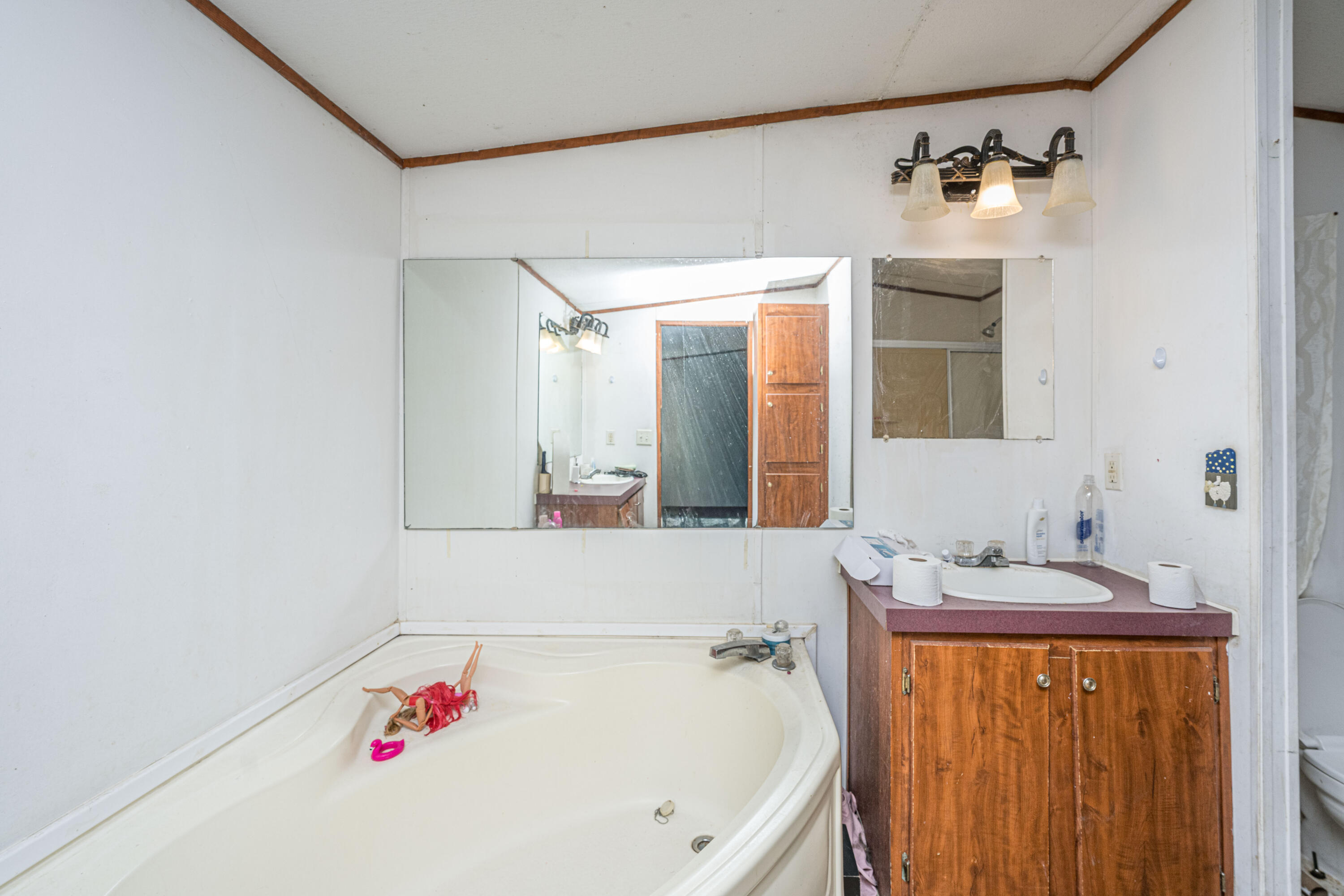 153 Rogers Branch Road Ridgeville, SC 29472 - Photo 20 of 66 153RogersBranchRd023