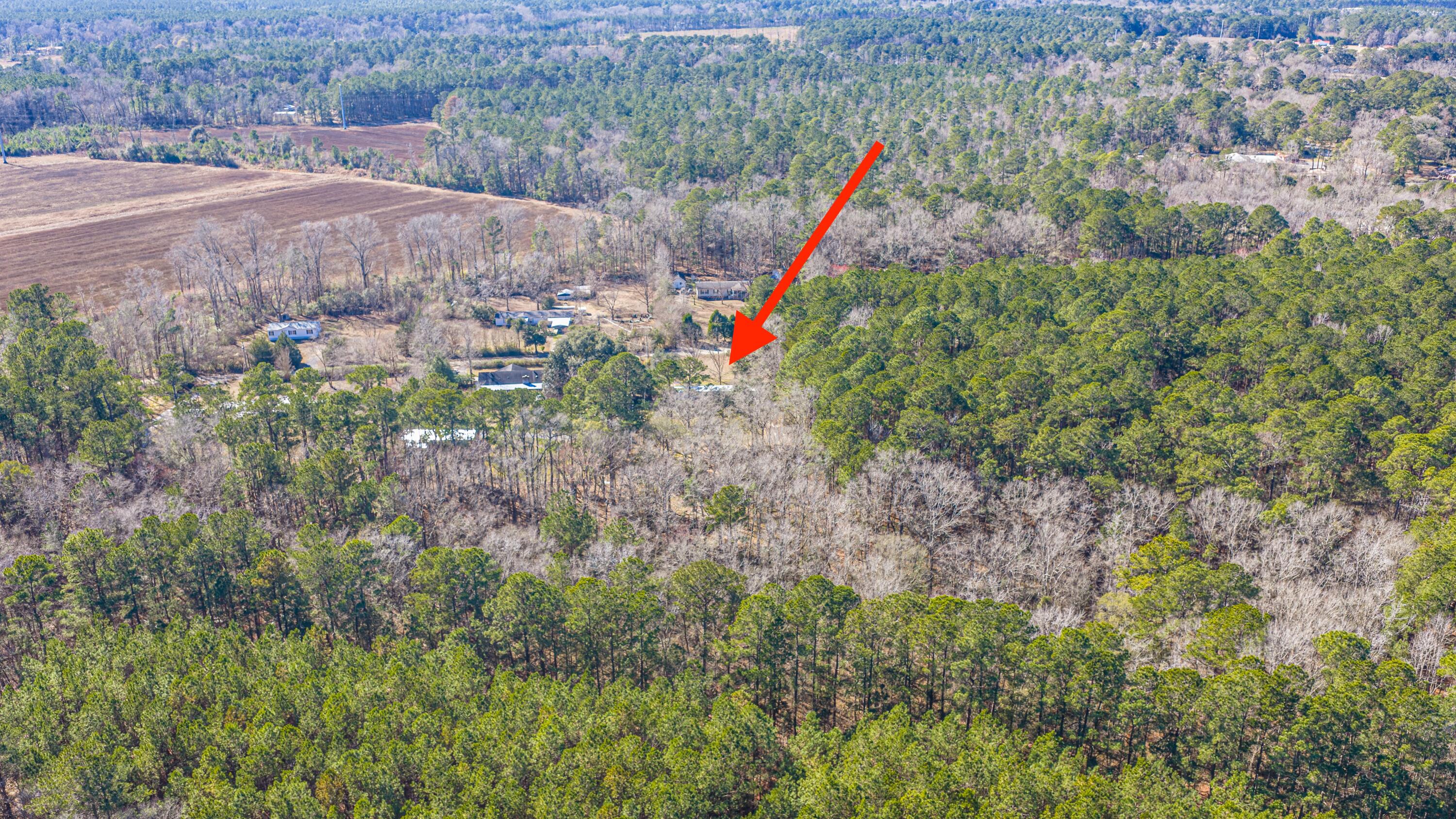 153 Rogers Branch Road Ridgeville, SC 29472 - Photo 39 of 66 153RogersBranchRd061