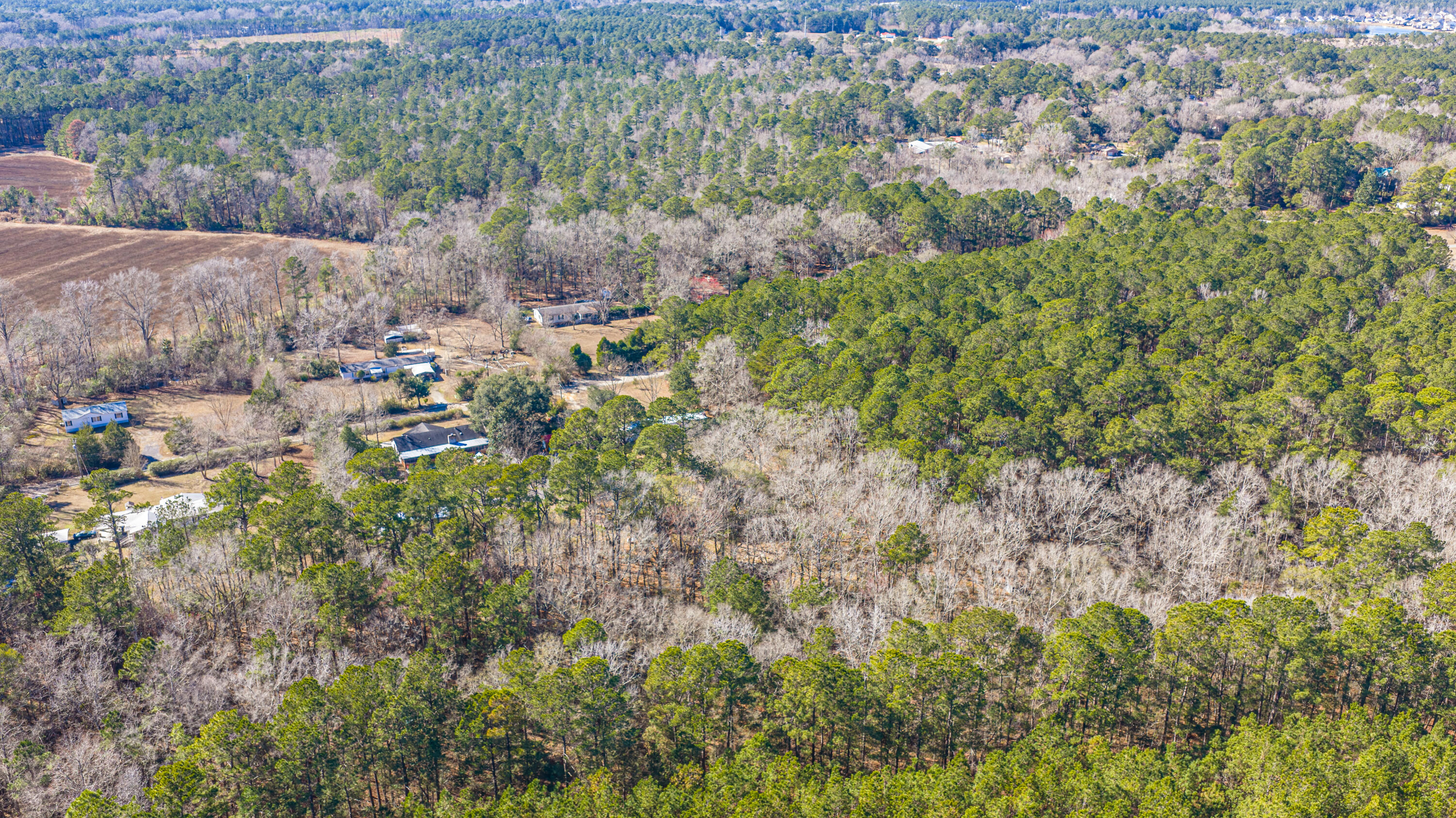 153 Rogers Branch Road Ridgeville, SC 29472 - Photo 40 of 66 153RogersBranchRd060