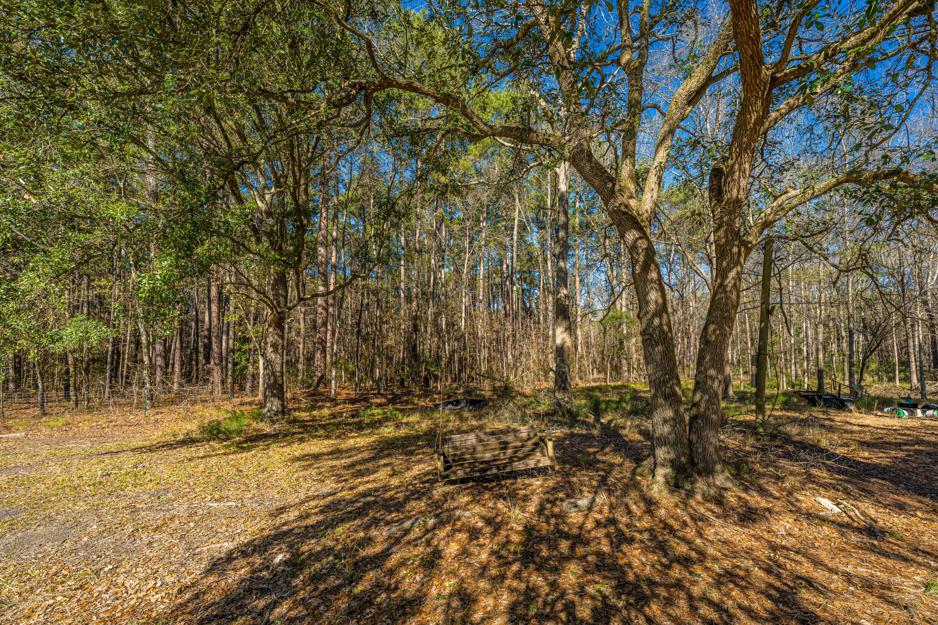 153 Rogers Branch Road Ridgeville, SC 29472 - Photo 53 of 66 153RogersBranchRd042