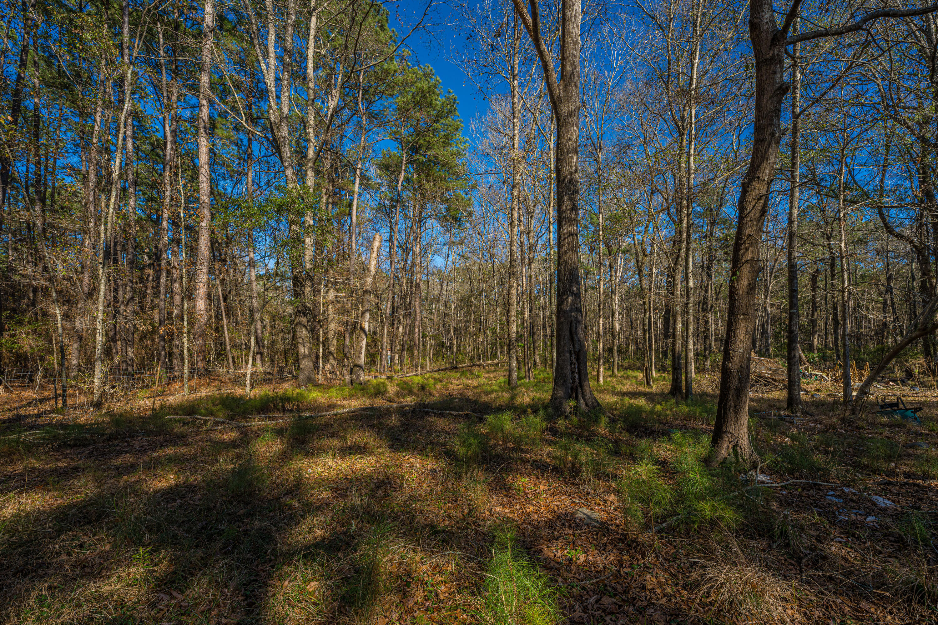 153 Rogers Branch Road Ridgeville, SC 29472 - Photo 54 of 66 153RogersBranchRd039