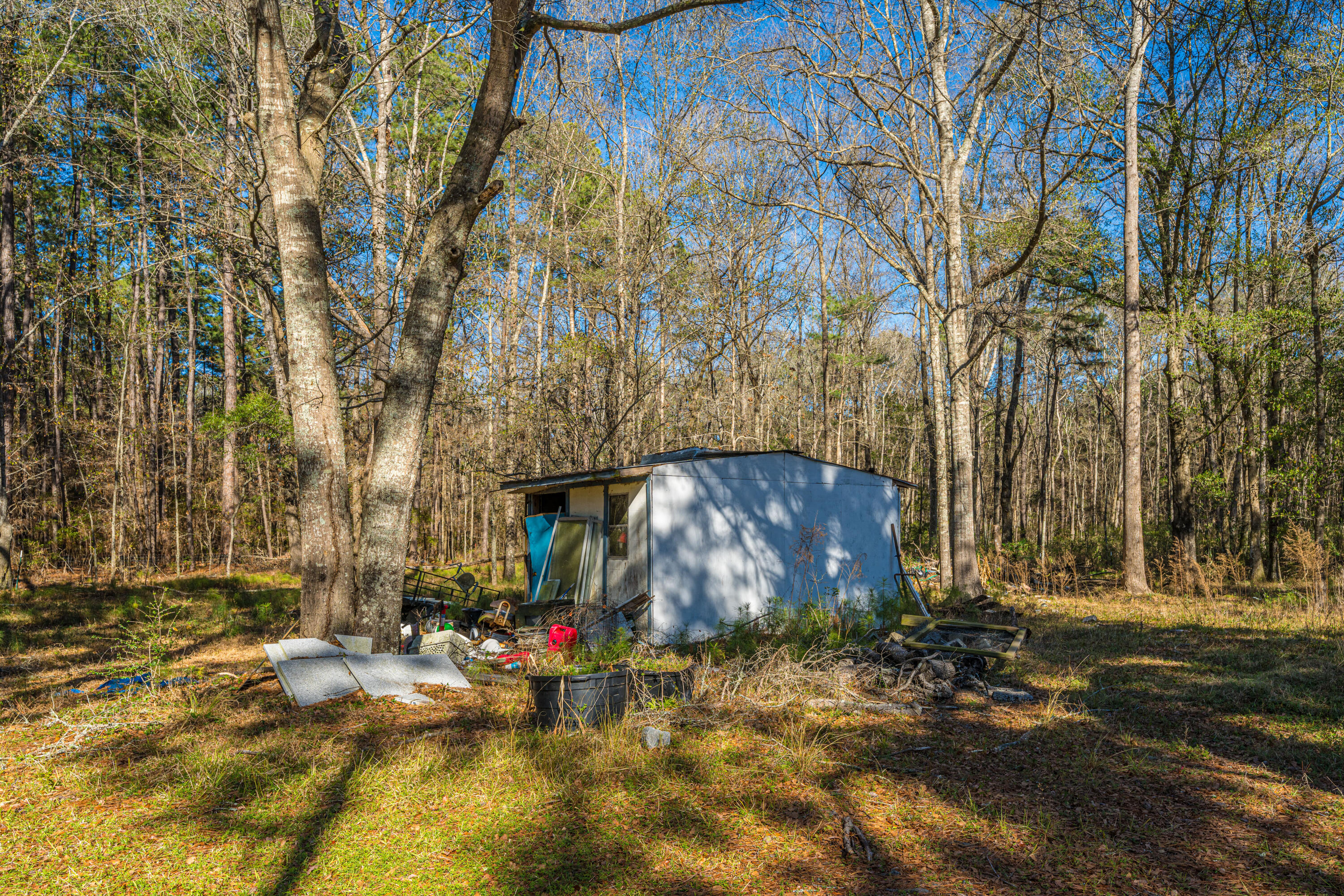 153 Rogers Branch Road Ridgeville, SC 29472 - Photo 55 of 66 153RogersBranchRd036