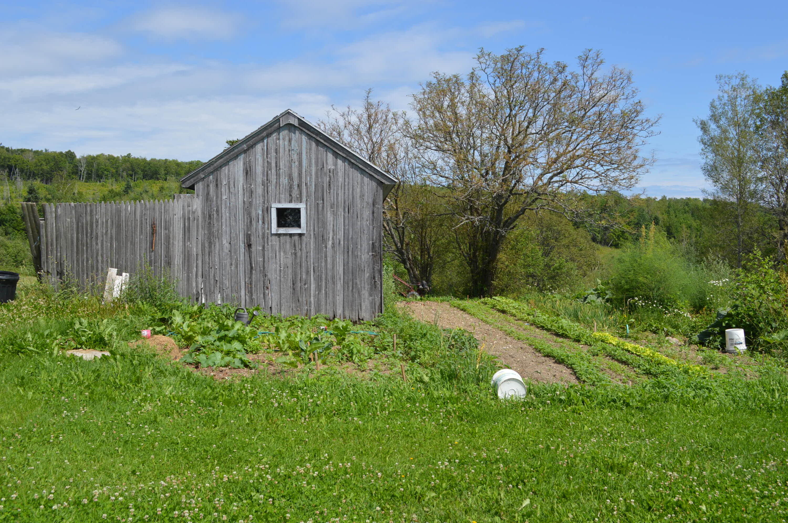 196 Aspen Road Madawaska, ME 04756 - Photo 22 of 47 Upper Garden