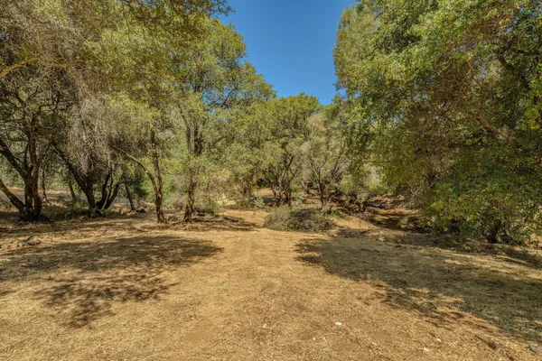 a view of a small yard