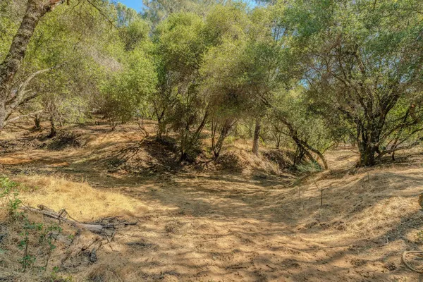 a view of outdoor space with trees