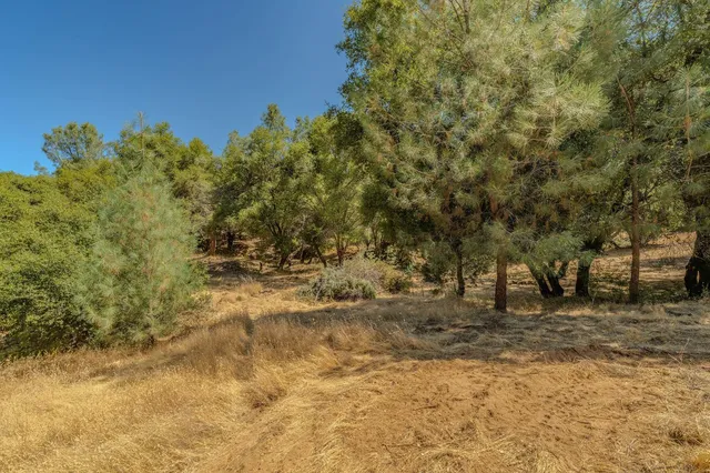 $149,999 | 0 Lauren Lane, Jackson, CA 95642