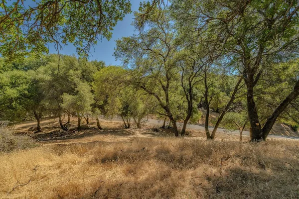 a view of a road with a yard