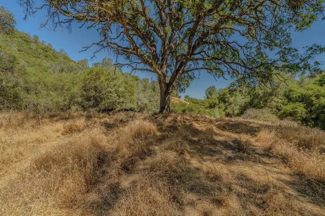 $149,999 | 0 Lauren Lane, Jackson, CA 95642