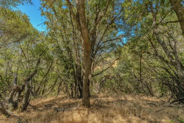 $149,999 | 0 Lauren Lane, Jackson, CA 95642