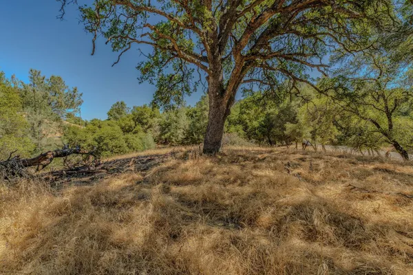 an aerial view of a houses with a lush green hillside