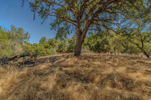 $149,999 | 0 Lauren Lane, Jackson, CA 95642