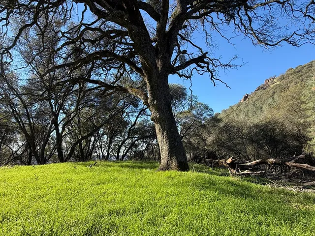 $149,999 | 0 Lauren Lane, Jackson, CA 95642