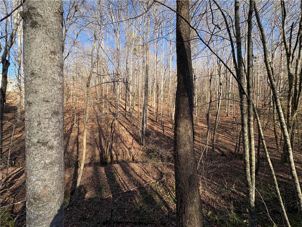 0 Goldview Drive Dahlonega, GA 30533 - Photo 11 of 14