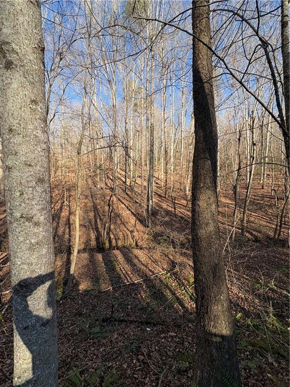 0 Goldview Drive Dahlonega, GA 30533 - Photo 12 of 14