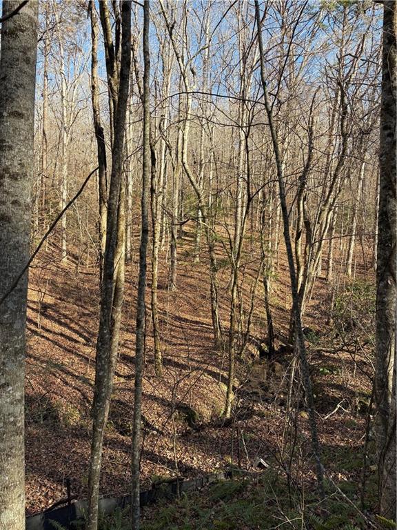 0 Goldview Drive Dahlonega, GA 30533 - Photo 13 of 14