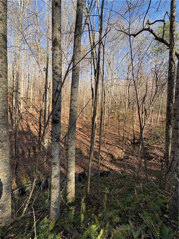 0 Goldview Drive Dahlonega, GA 30533 - Photo 14 of 14