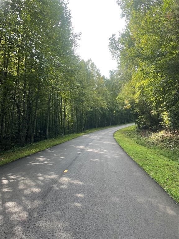 0 Goldview Drive Dahlonega, GA 30533 - Photo 2 of 14