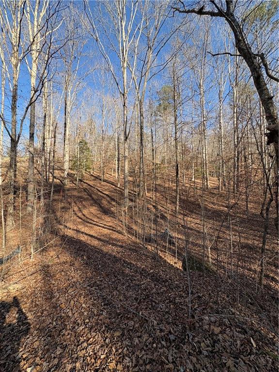 0 Goldview Drive Dahlonega, GA 30533 - Photo 4 of 14