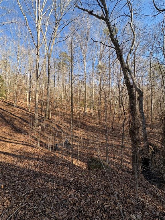 0 Goldview Drive Dahlonega, GA 30533 - Photo 5 of 14