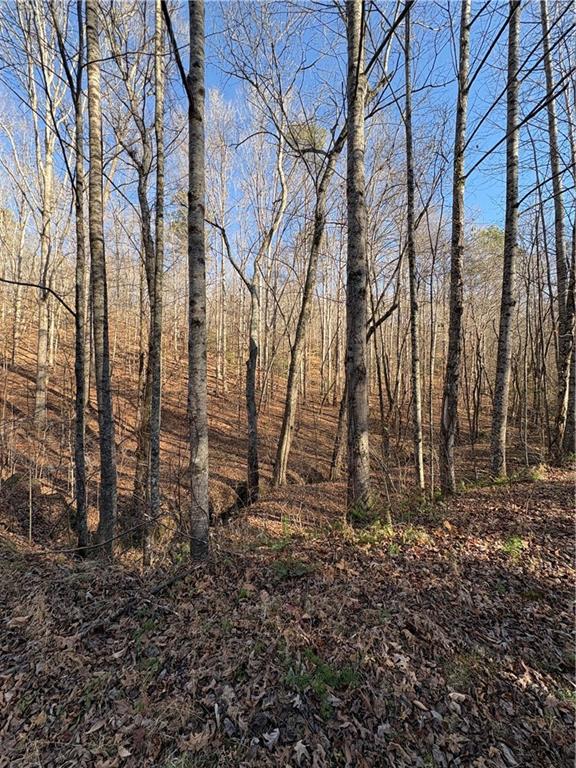 0 Goldview Drive Dahlonega, GA 30533 - Photo 8 of 14