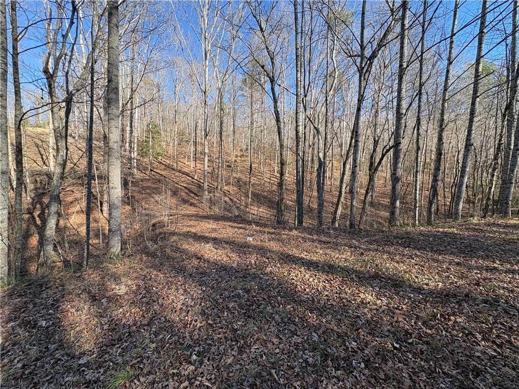 0 Goldview Drive Dahlonega, GA 30533 - Photo 9 of 14