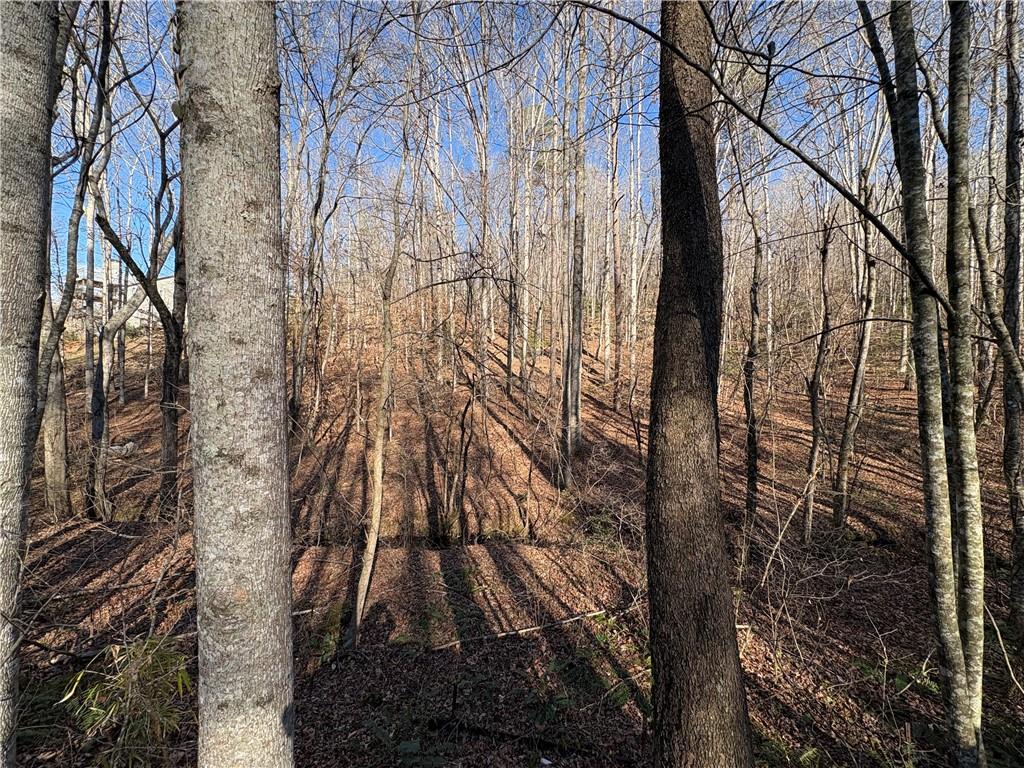 0 Goldview Drive Dahlonega, GA 30533 - Photo 10 of 14