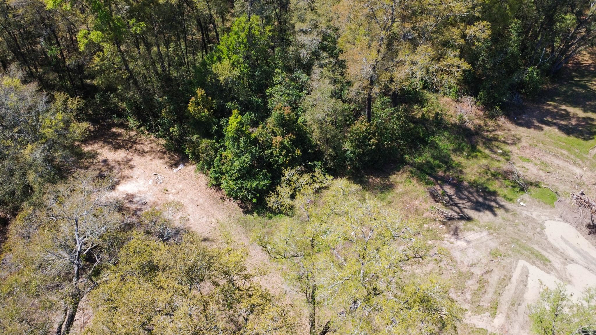 209-213 Hannon Mill Road Tallahassee, FL 32305 - Photo 6 of 12