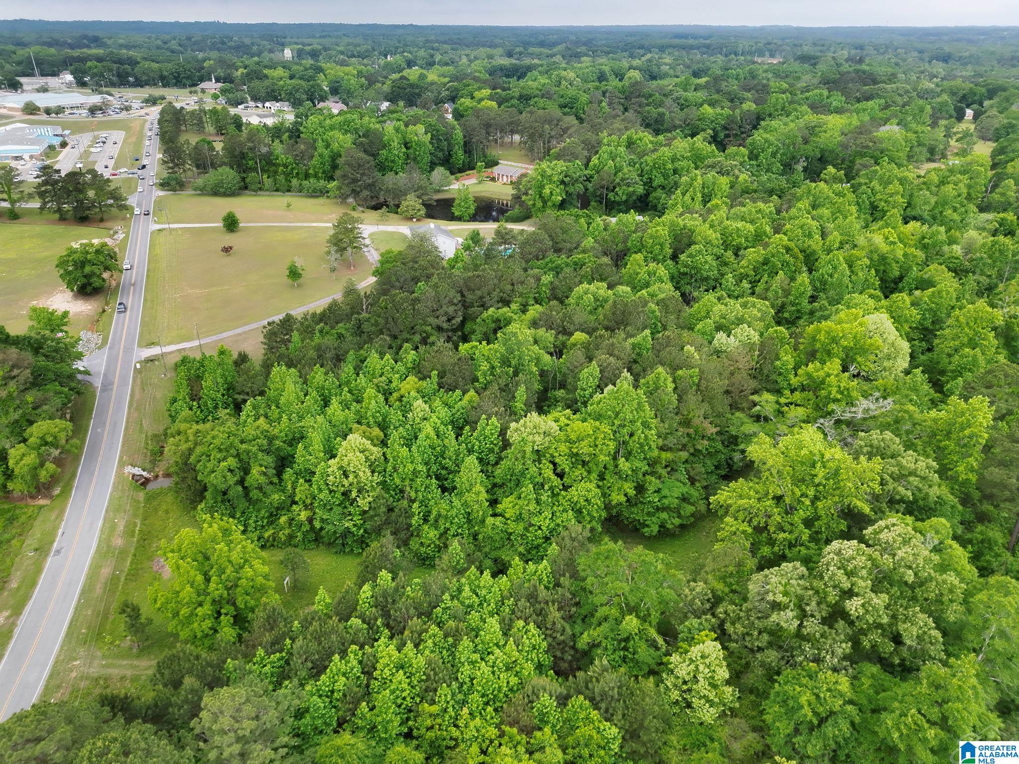 0 Temple Road, Unit 1 Clanton, AL 35045 - Photo 9 of 13