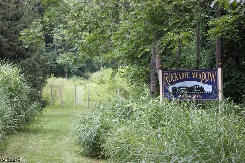 7 Mosle Road Peapack-Gladstone, NJ 07934 - Photo 23 of 24