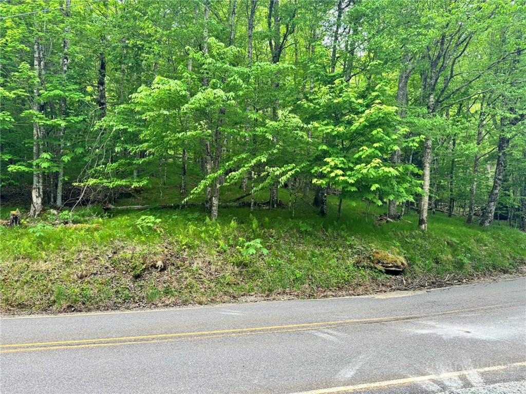 146 Hornbeam Road Beech Mountain, NC 28604 - Photo 13 of 14
