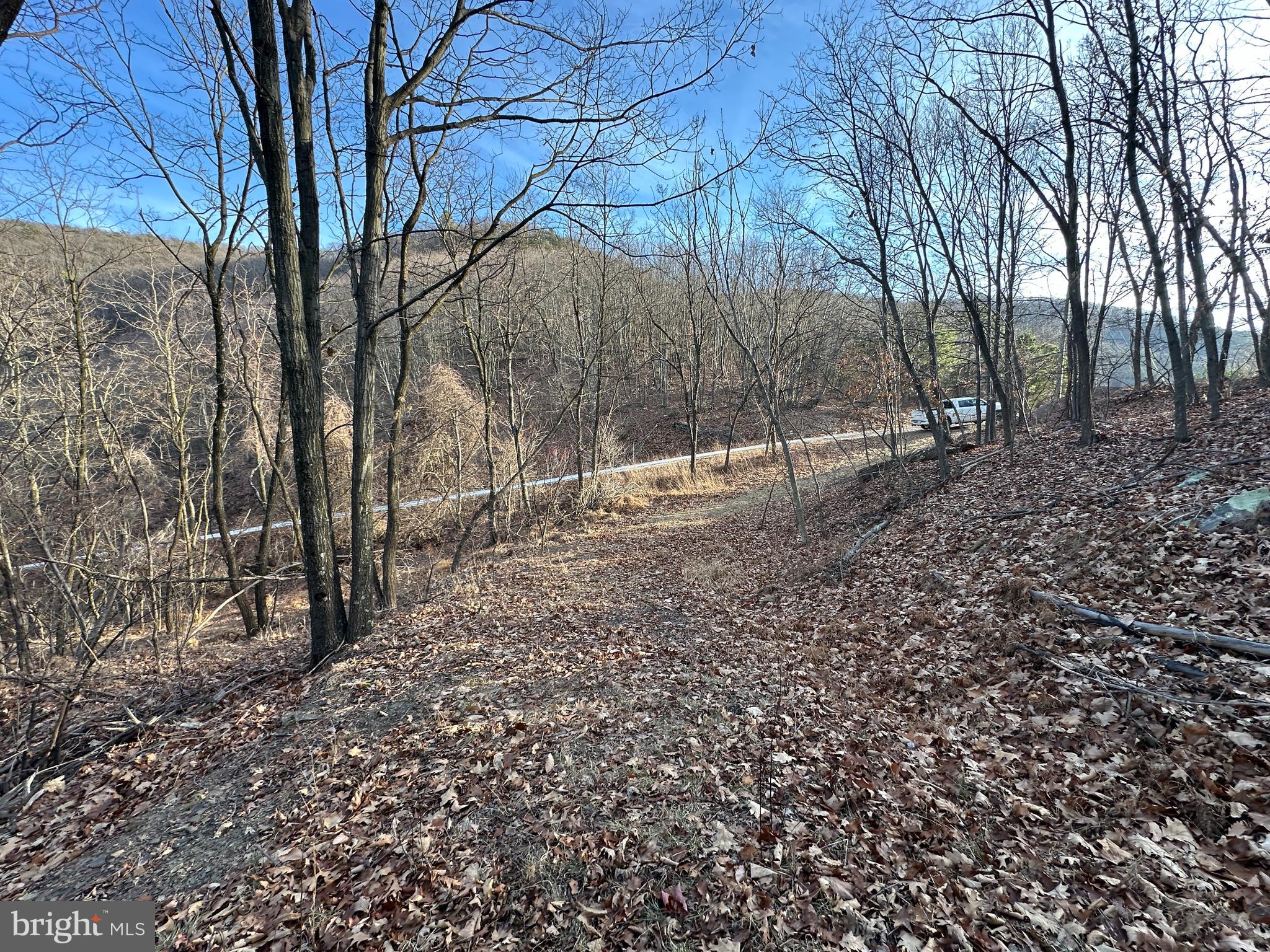 333 Nathaniel Mountain Road Moorefield, WV 26836 - Photo 28 of 65