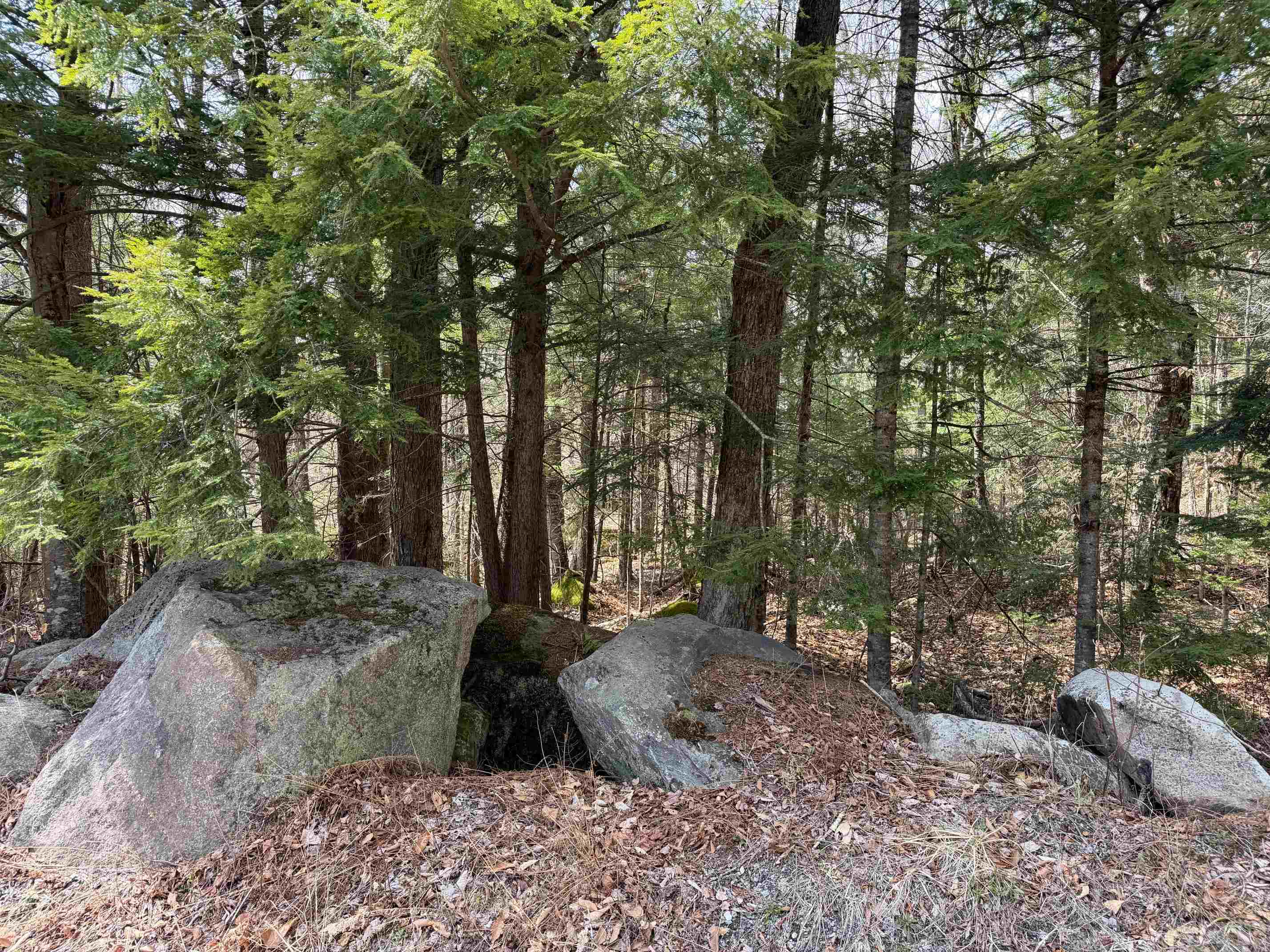 0 Hickory Overlook Overlook, Unit OVERLOOK Grantham, NH 03753 - Photo 1 of 10