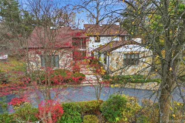 a view of a pathway with flower plants