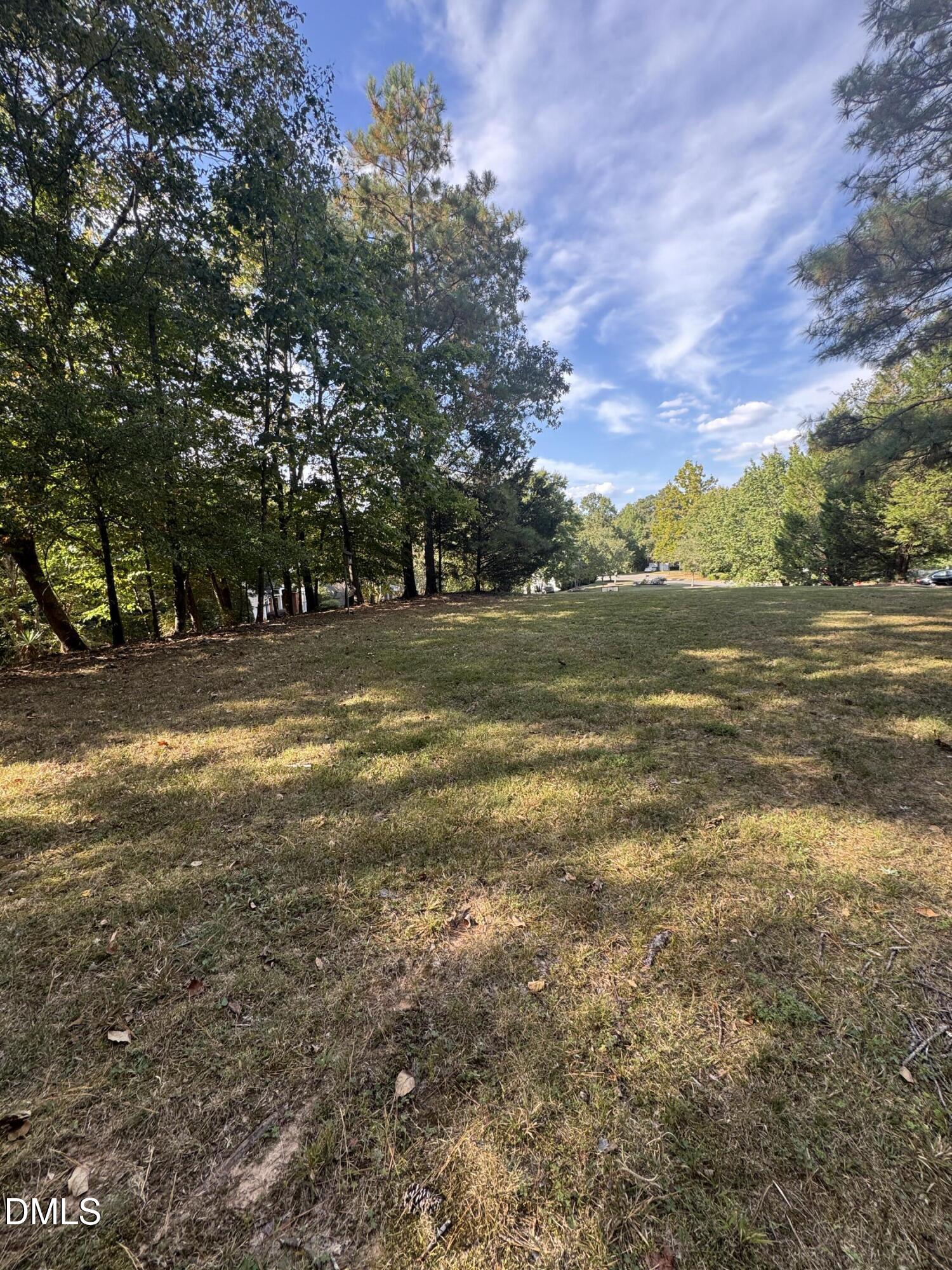 3 Falcon Nest Court Durham, NC 27713 - Photo 3 of 7 a view of a field with an trees