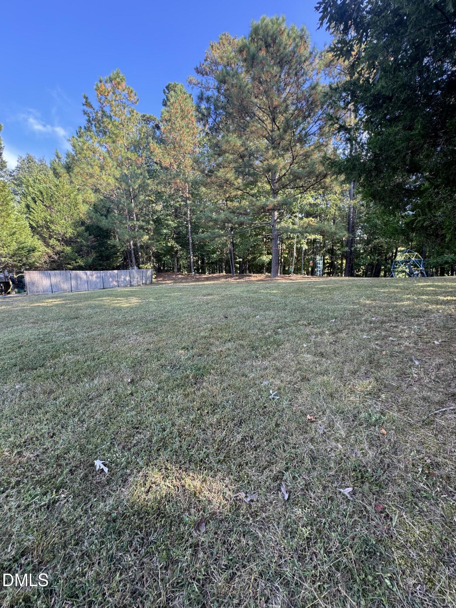 3 Falcon Nest Court Durham, NC 27713 - Photo 6 of 7 a view of outdoor space and yard
