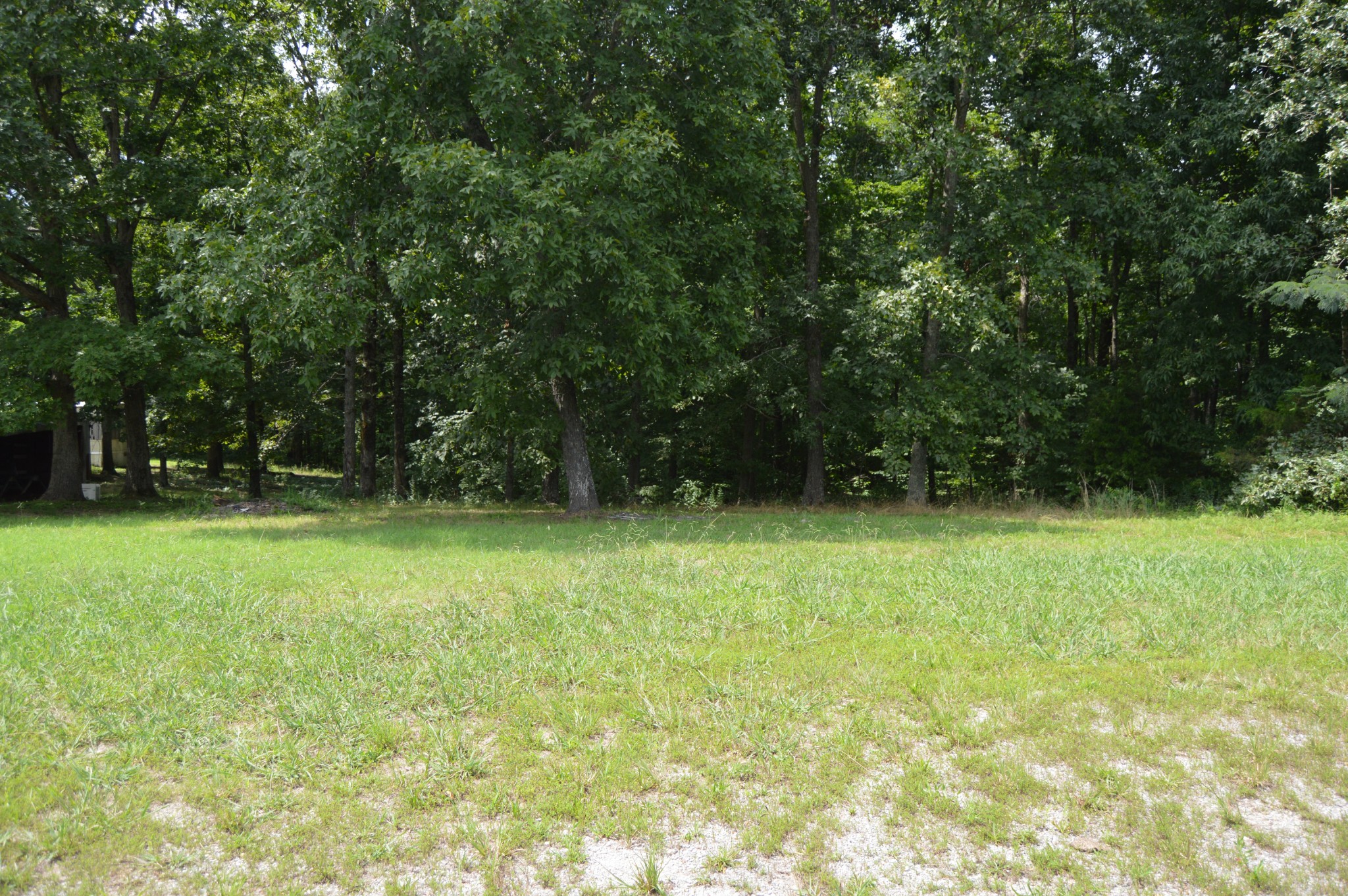 870 Brazzle Road Waverly, TN 37185 - Photo 11 of 20 Gallery Image 11