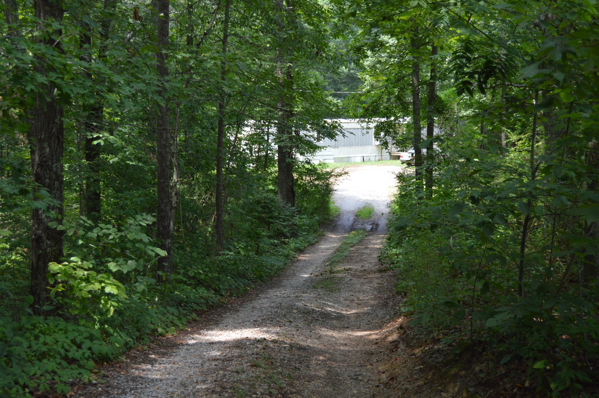 870 Brazzle Road Waverly, TN 37185 - Photo 14 of 20 Gallery Image 14