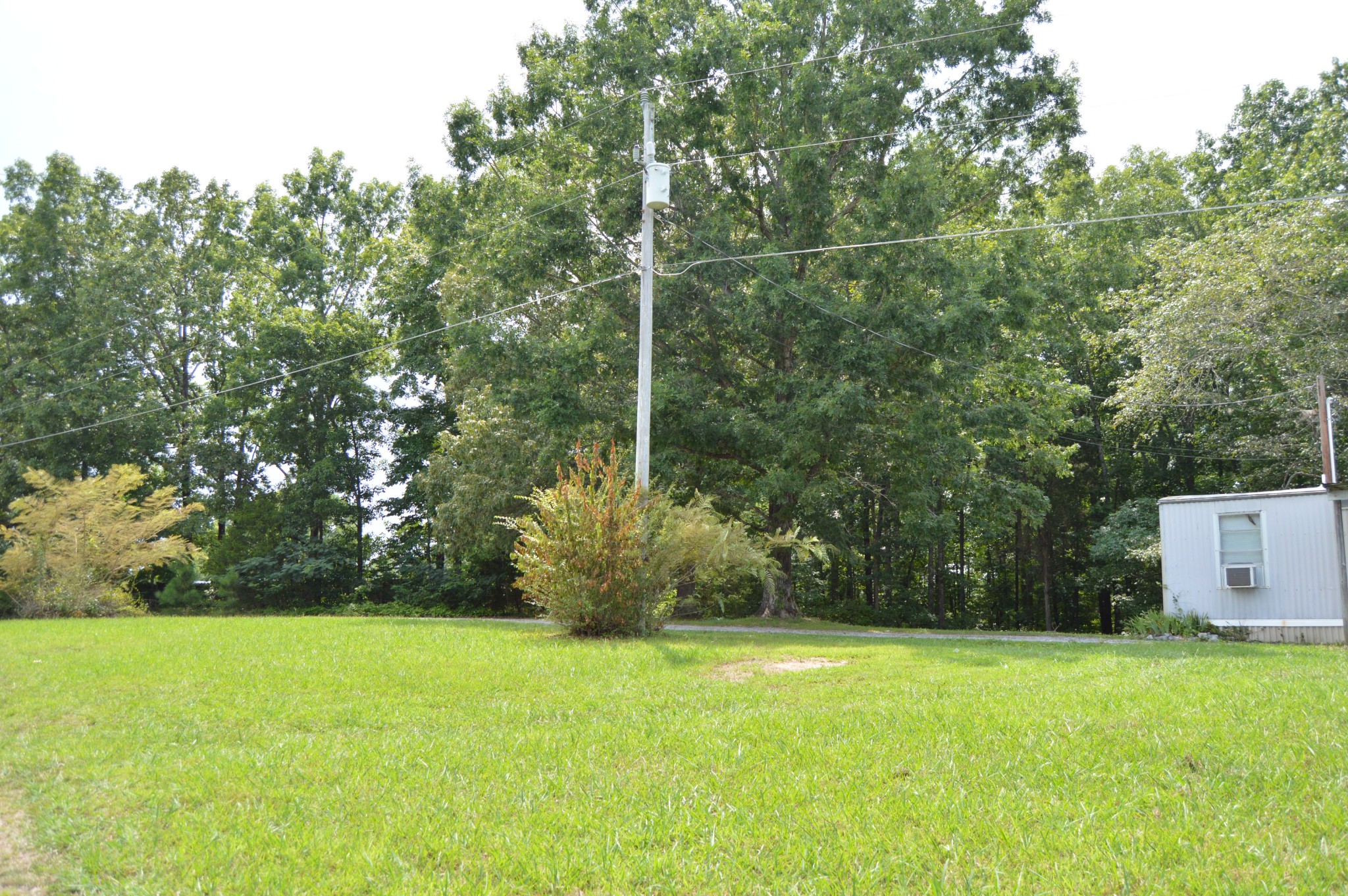 870 Brazzle Road Waverly, TN 37185 - Photo 19 of 20 Gallery Image 19