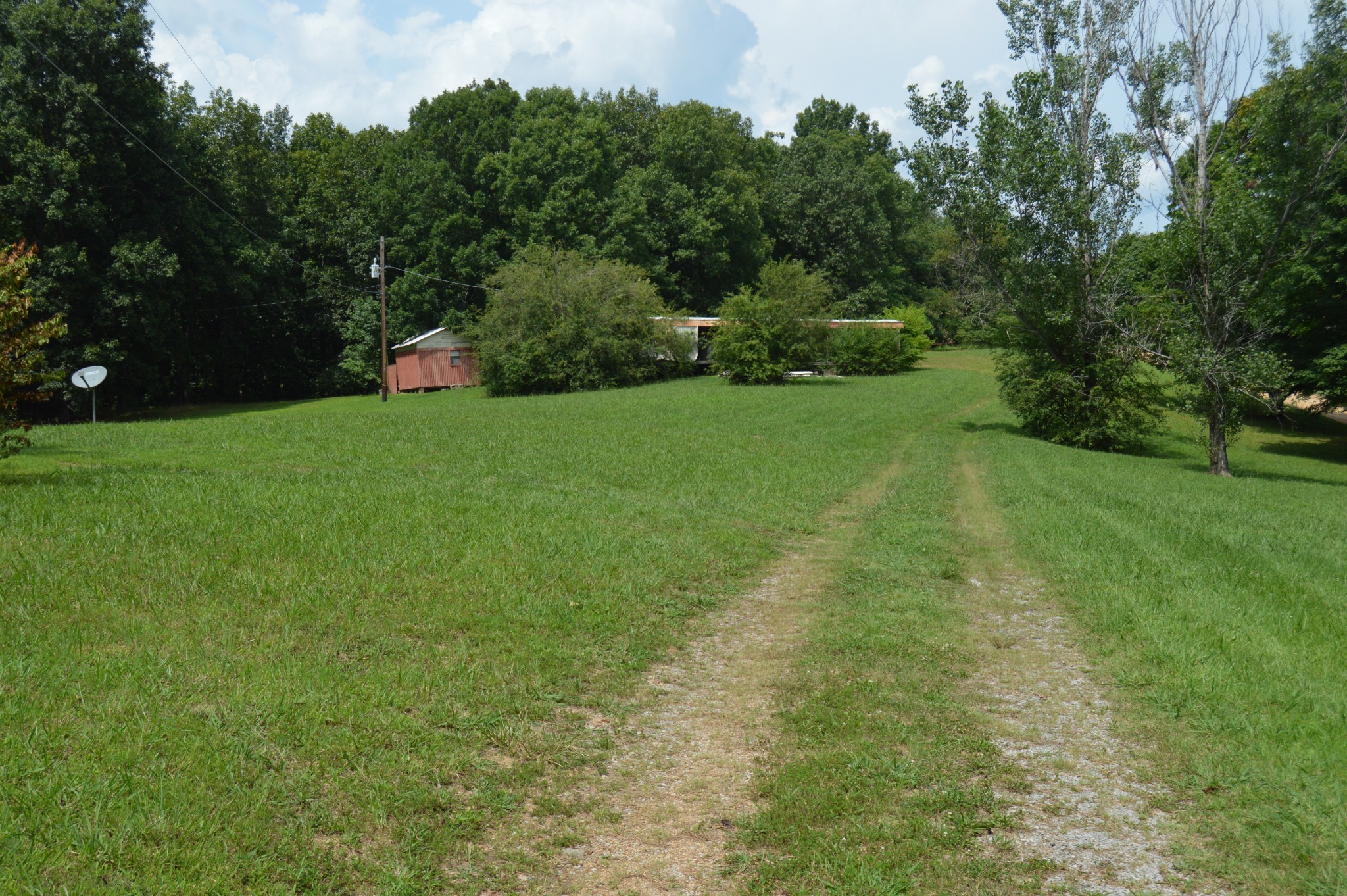 870 Brazzle Road Waverly, TN 37185 - Photo 8 of 20 Gallery Image 8