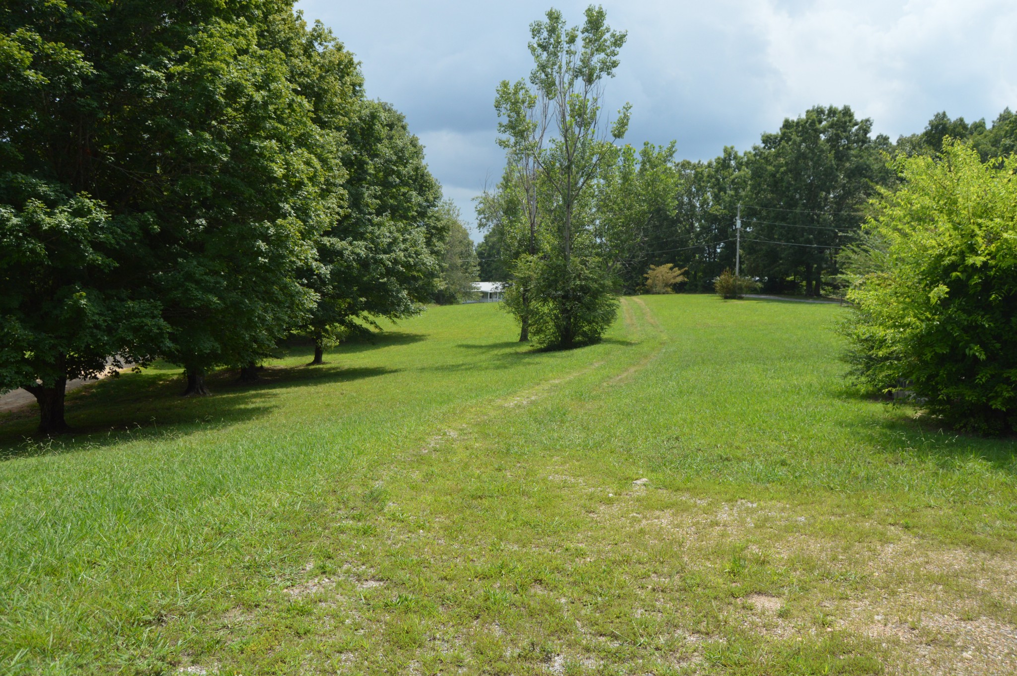 870 Brazzle Road Waverly, TN 37185 - Photo 10 of 20 Gallery Image 10